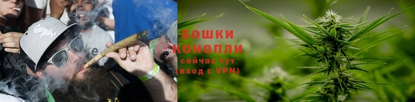 гашик Липки
