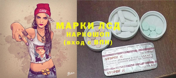гашик Липки
