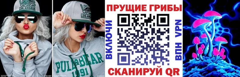 Купить закладки  Лакинск  Псилоцибиновые грибы GOLDEN TEACHER 